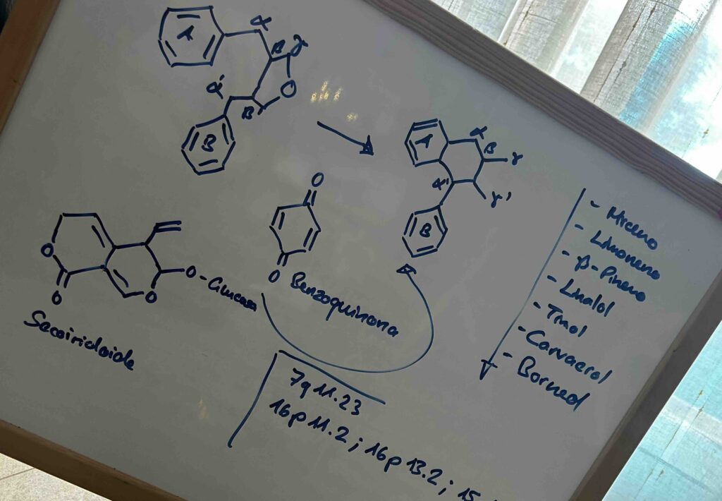 formules